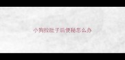 小狗拉肚子后便秘怎么办