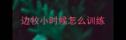 边牧小时候怎么训练