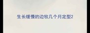 生长缓慢的边牧几个月定型