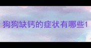 狗狗缺钙的症状有哪些