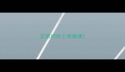 正常的哈士奇粪便