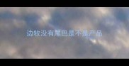 边牧没有尾巴是不是产品