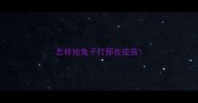 怎样给兔子打那些疫苗