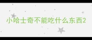 小哈士奇不能吃什么东西