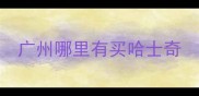 广州哪里有买哈士奇