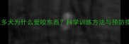 拉布拉多犬为什么爱咬东西科学训练方法与预防措施全