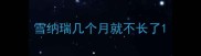 雪纳瑞几个月就不长了