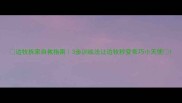 边牧拆家自救指南3步训练法让边牧秒变乖巧小天使