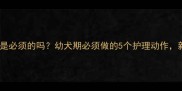 金毛幼犬梳毛是必须的吗幼犬期必须做的5个护理动作新手家长必看