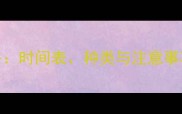 狗狗打疫苗全攻略时间表种类与注意事项附详细流程