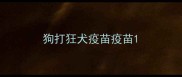 狗打狂犬疫苗疫苗