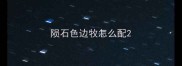 陨石色边牧怎么配