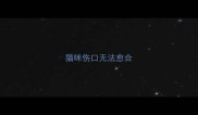 猫咪伤口无法愈合