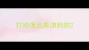 打喷嚏流鼻涕狗狗