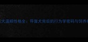 金毛犬温顺性格全导盲犬背后的行为学密码与饲养指南