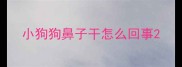 小狗狗鼻子干怎么回事
