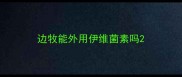 边牧能外用伊维菌素吗