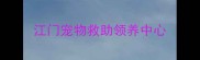 江门宠物救助领养中心