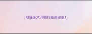 幼猫多大开始打疫苗驱虫