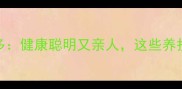 领养混血拉布拉多健康聪明又亲人这些养护技巧你知道吗