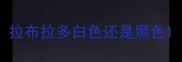 拉布拉多白色还是黑色