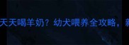 边牧四个月天天喝羊奶幼犬喂养全攻略新手必看