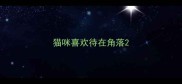 猫咪喜欢待在角落