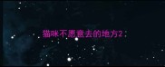 猫咪不愿意去的地方