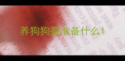 养狗狗要准备什么
