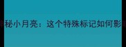 边牧头顶的神秘小月亮这个特殊标记如何影响性格与训练