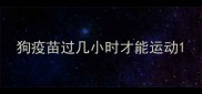 狗疫苗过几小时才能运动