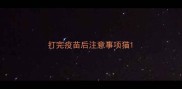 打完疫苗后注意事项猫