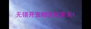 无锡开宠物医院要求