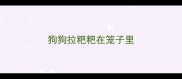 狗狗拉粑粑在笼子里