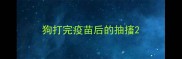 狗打完疫苗后的抽搐