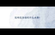 拉布拉多给吃什么水果