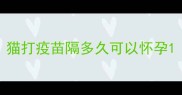 猫打疫苗隔多久可以怀孕