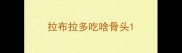 拉布拉多吃啥骨头