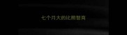 七个月大的比熊智商