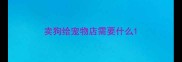 卖狗给宠物店需要什么