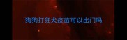 狗狗打狂犬疫苗可以出门吗