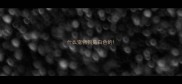 什么宠物狗是白色的