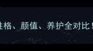 哈士奇VS柴犬性格颜值养护全对比附超萌合照攻略