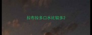 拉布拉多口水比较多
