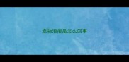 宠物泪痕是怎么回事