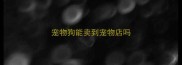宠物狗能卖到宠物店吗