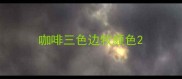 咖啡三色边牧颜色