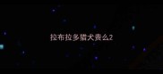 拉布拉多猎犬贵么