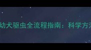 两个月大金毛幼犬驱虫全流程指南科学方法与注意事项