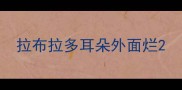 拉布拉多耳朵外面烂